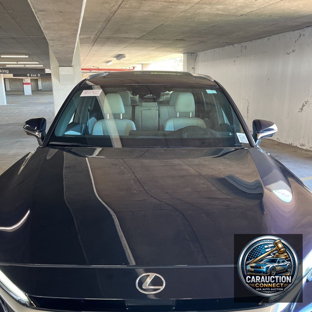 2024 Lexus TX 350 Premium