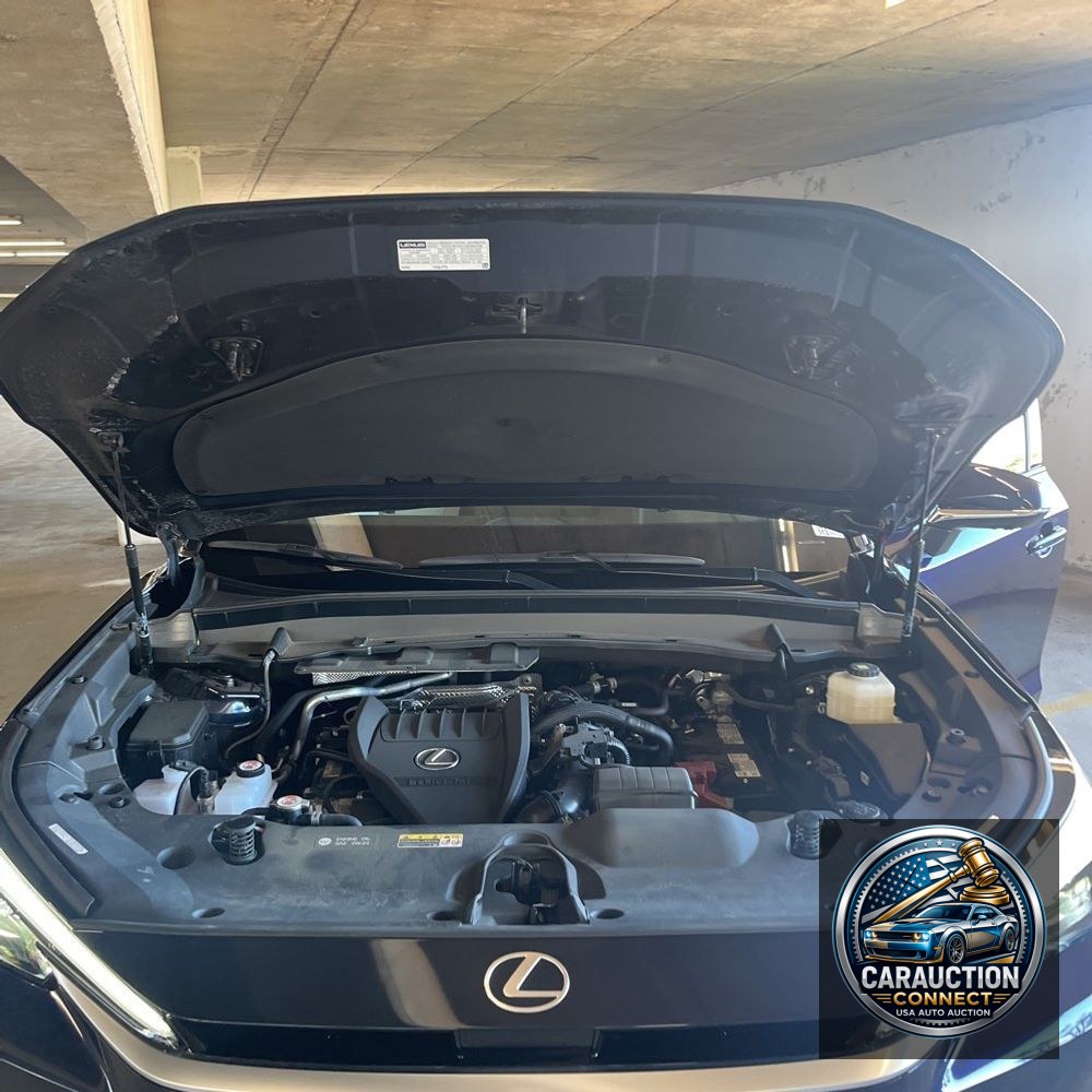 2024 Lexus TX 350 Premium