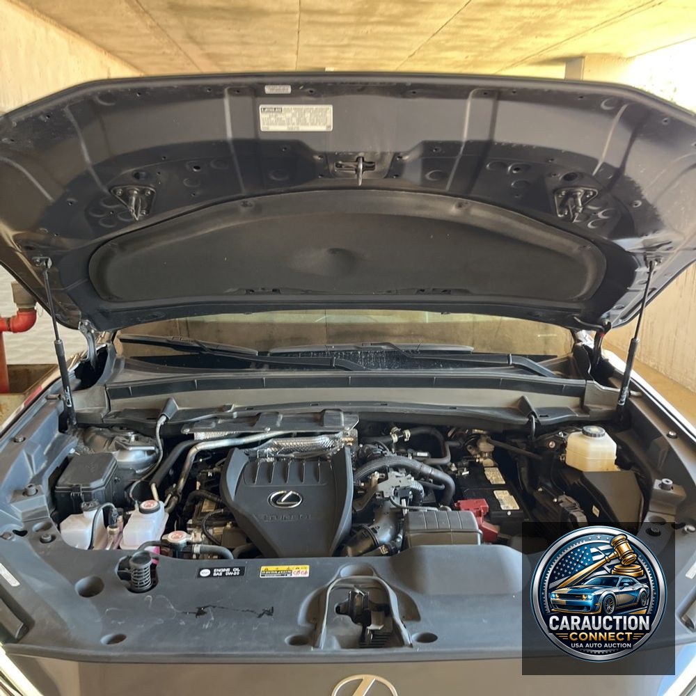 2024 Lexus TX 350 Base