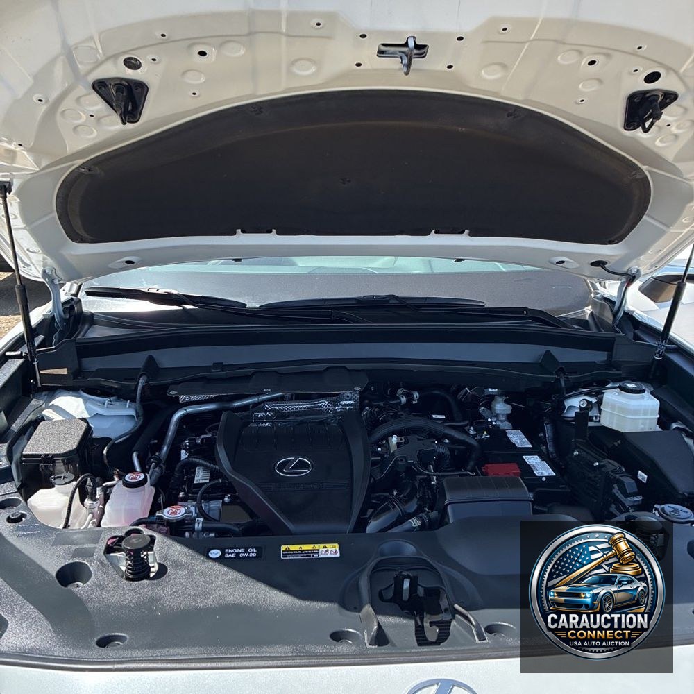2024 Lexus TX 350 Premium