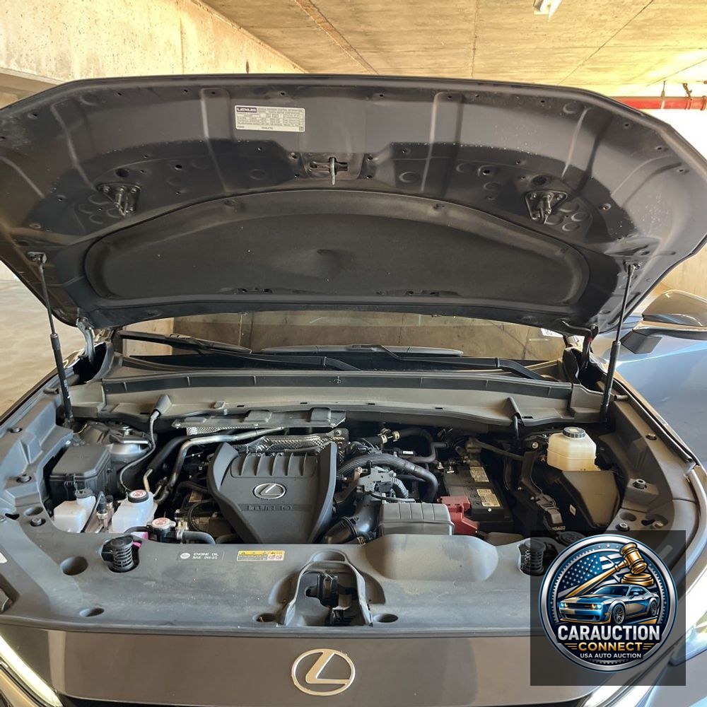 2024 Lexus TX 350 Base
