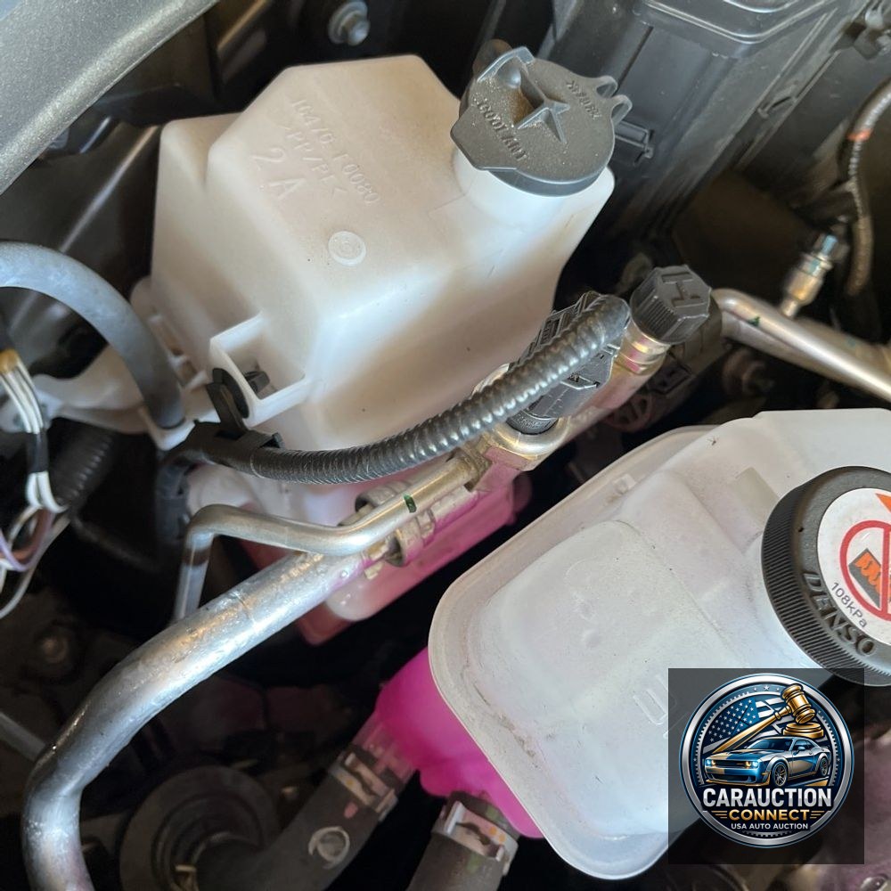2024 Lexus TX 350 Base