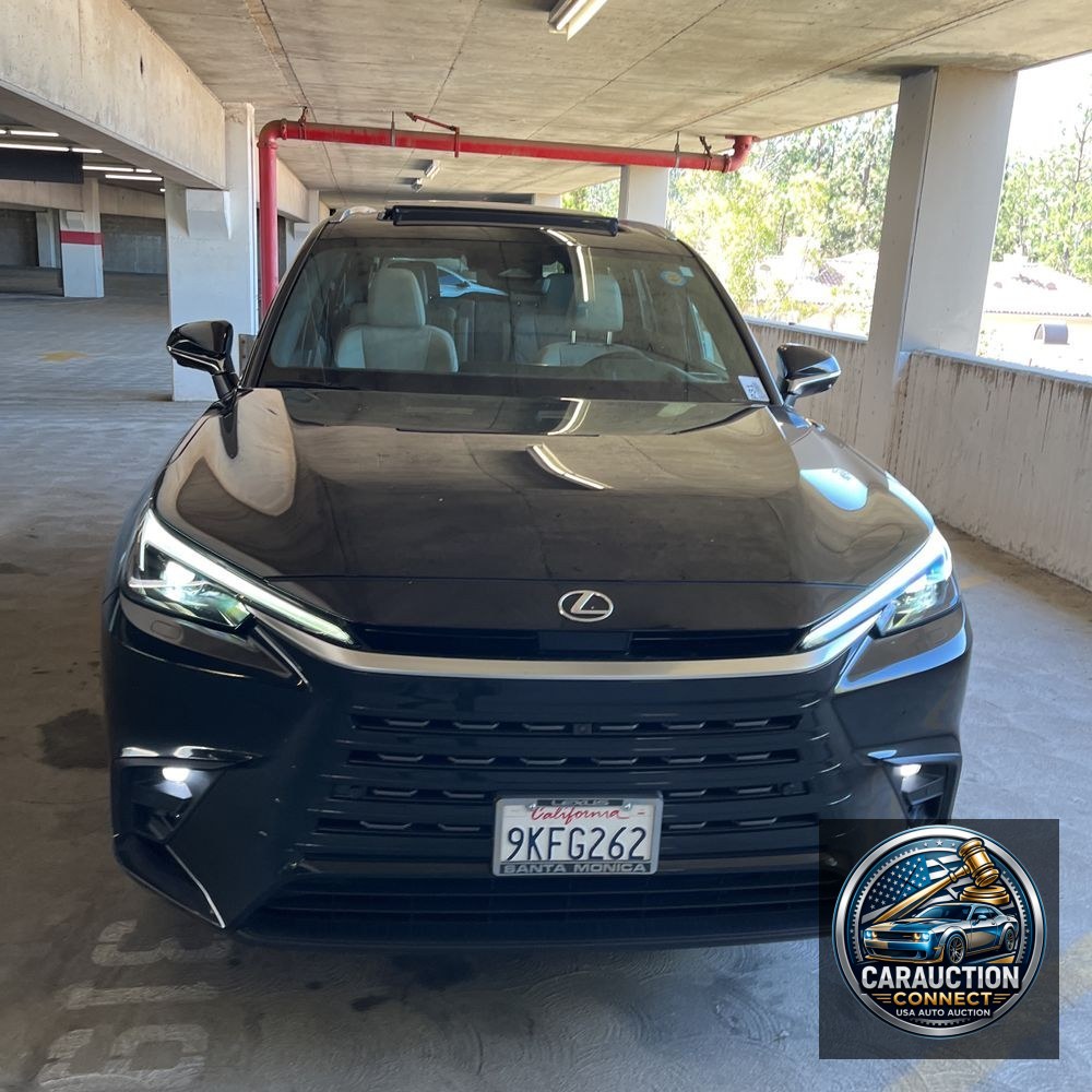 2024 Lexus TX 350 Luxury