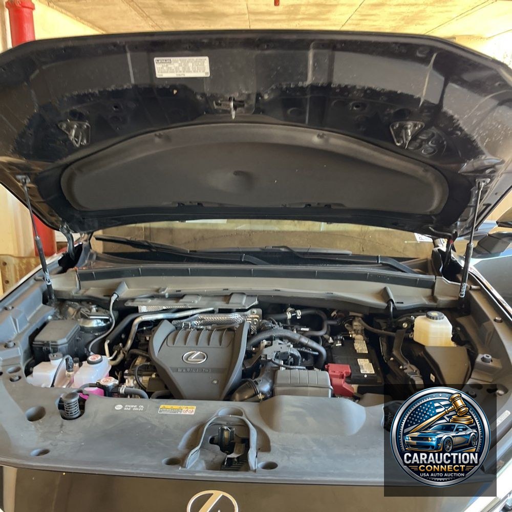 2024 Lexus TX 350 Luxury
