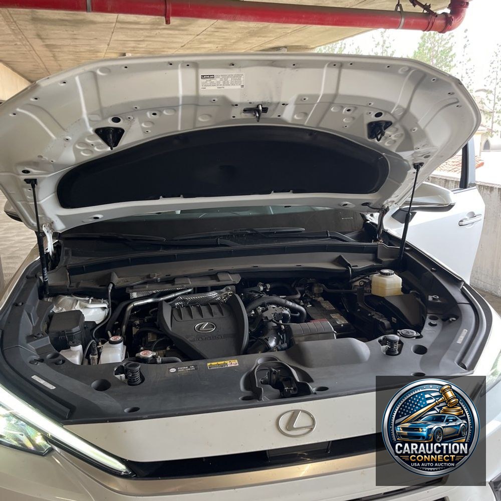 2024 Lexus TX 350 Base
