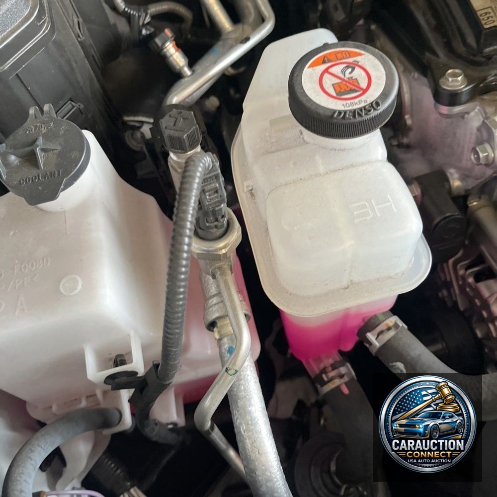 2024 Lexus TX 350 Base