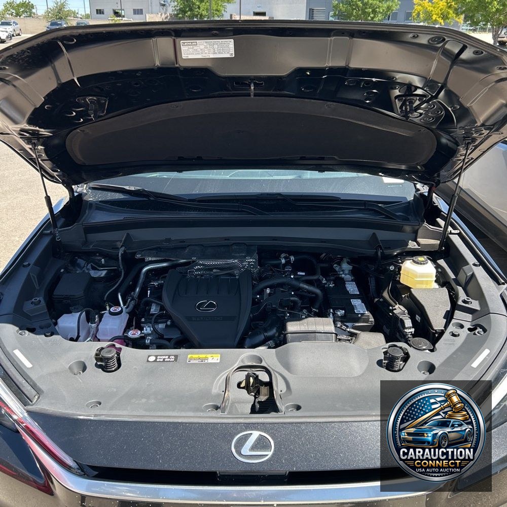 2024 Lexus TX 350 Premium