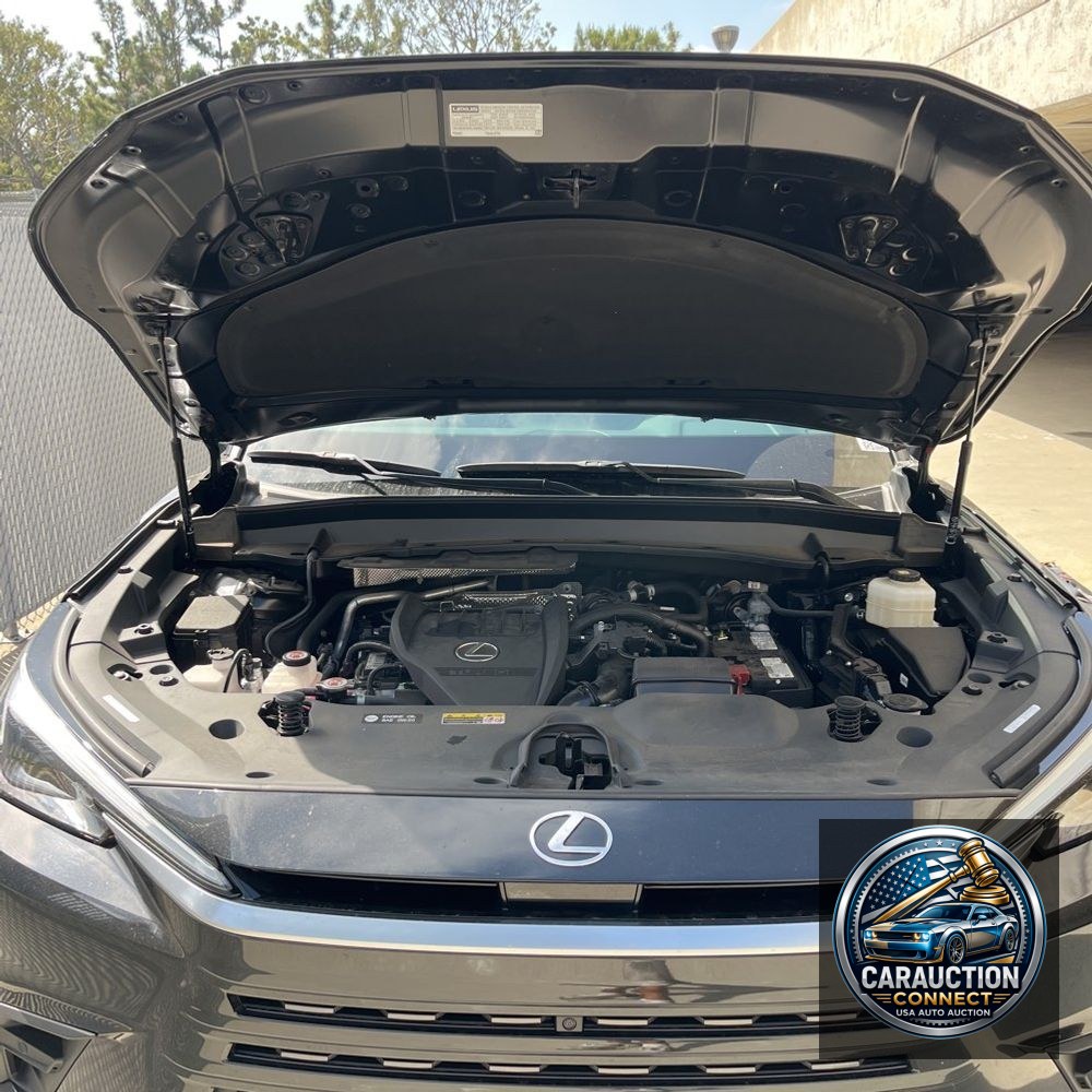 2024 Lexus TX 350 Premium