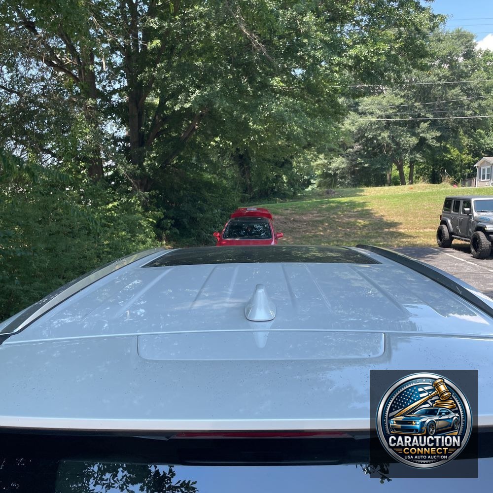 2024 Lexus TX 350 Luxury