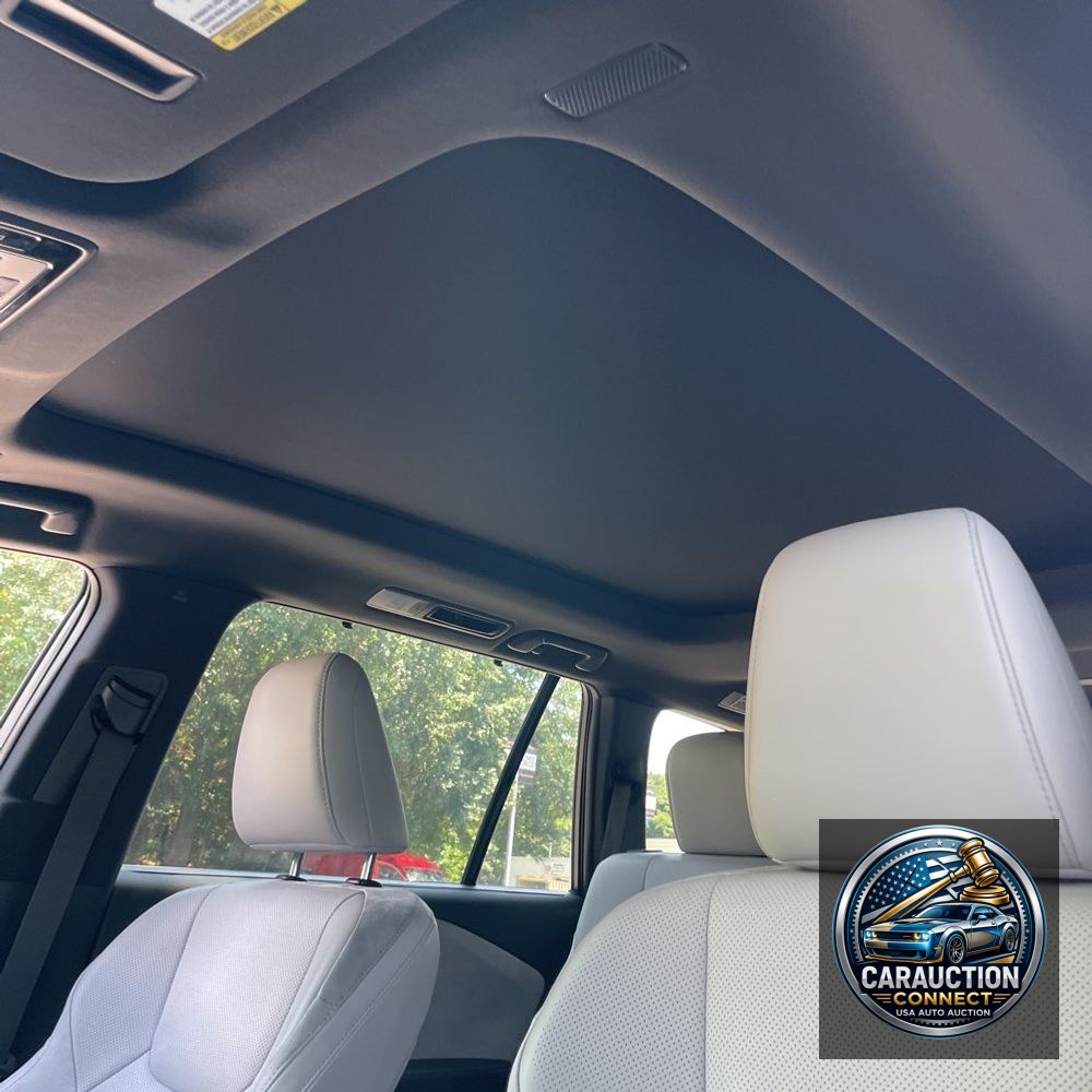 2024 Lexus TX 350 Luxury