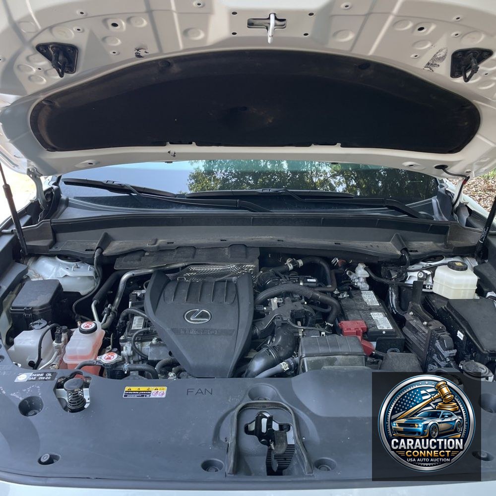 2024 Lexus TX 350 Luxury