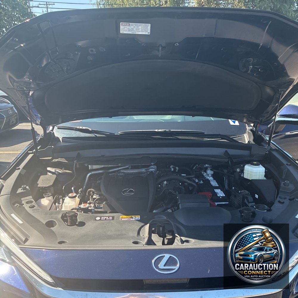 2024 Lexus TX 350 Premium
