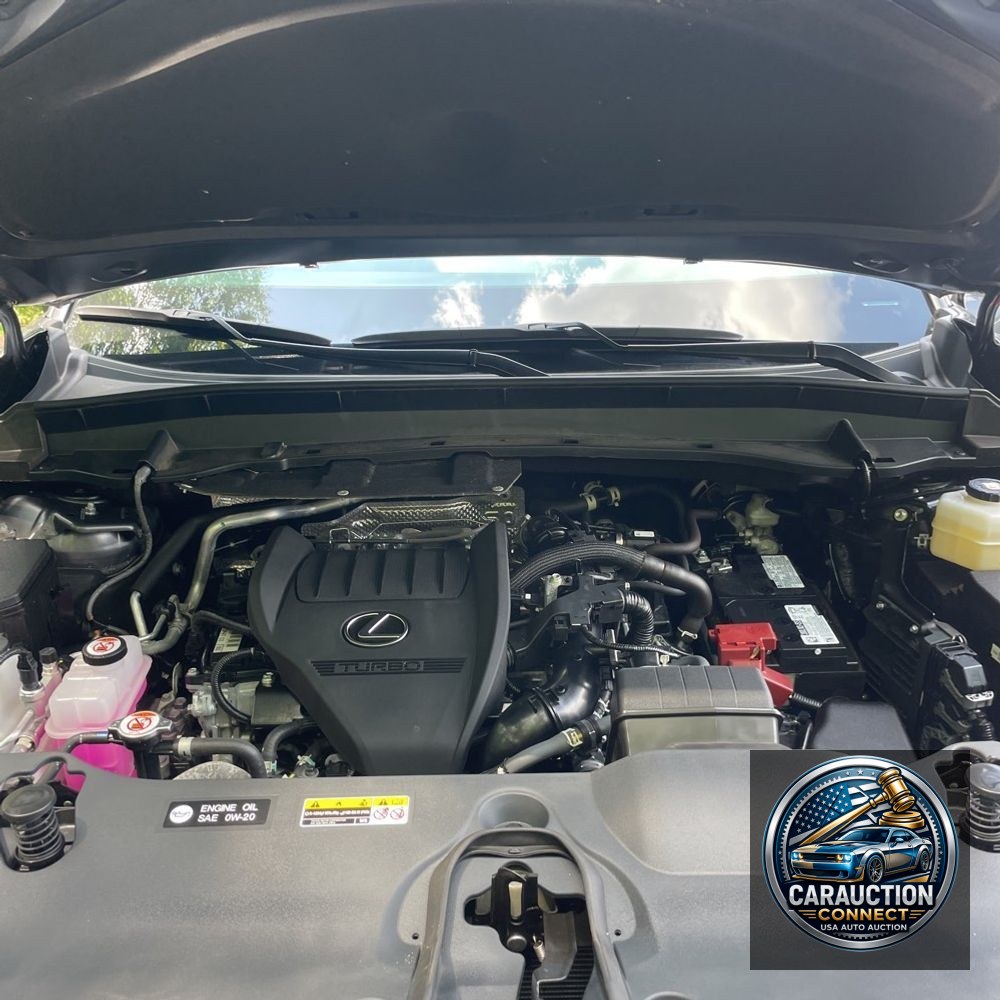 2024 Lexus TX 350 Premium