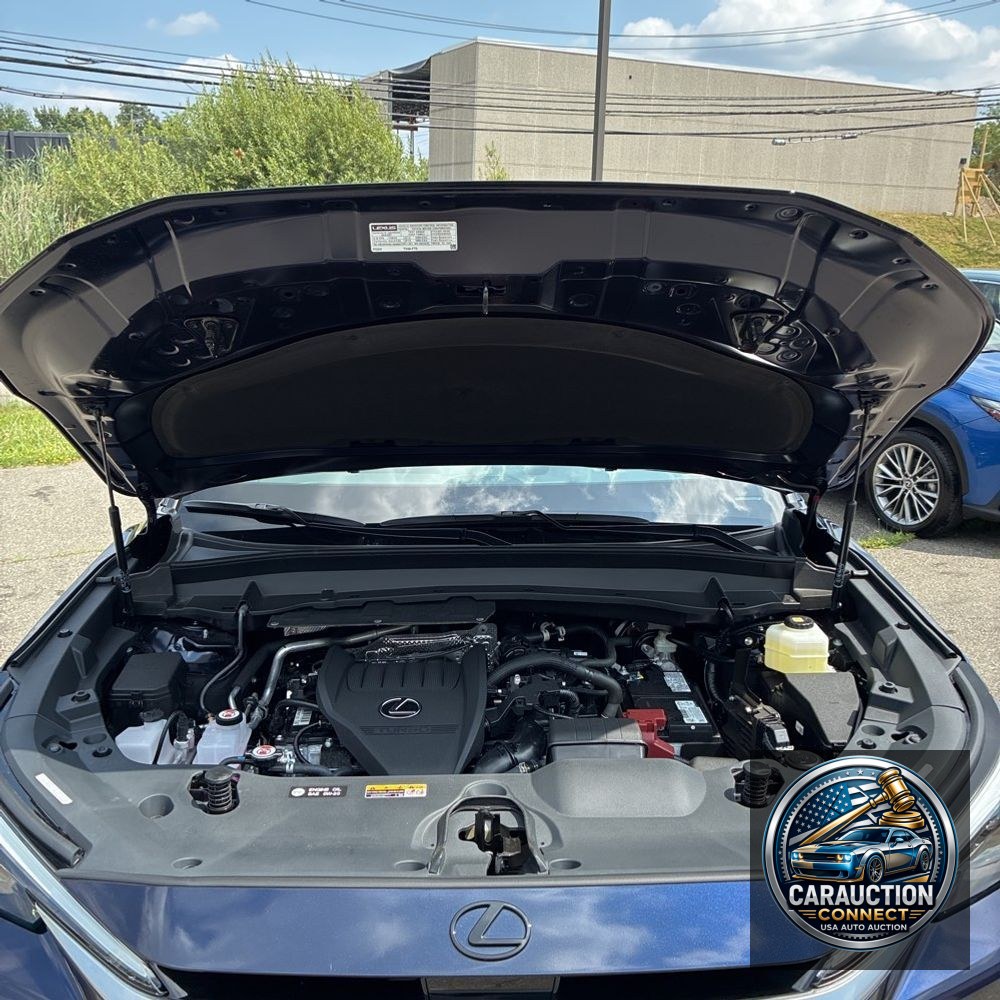 2025 Lexus TX 350 Premium