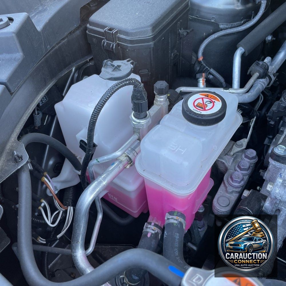 2024 Lexus TX 350 Base