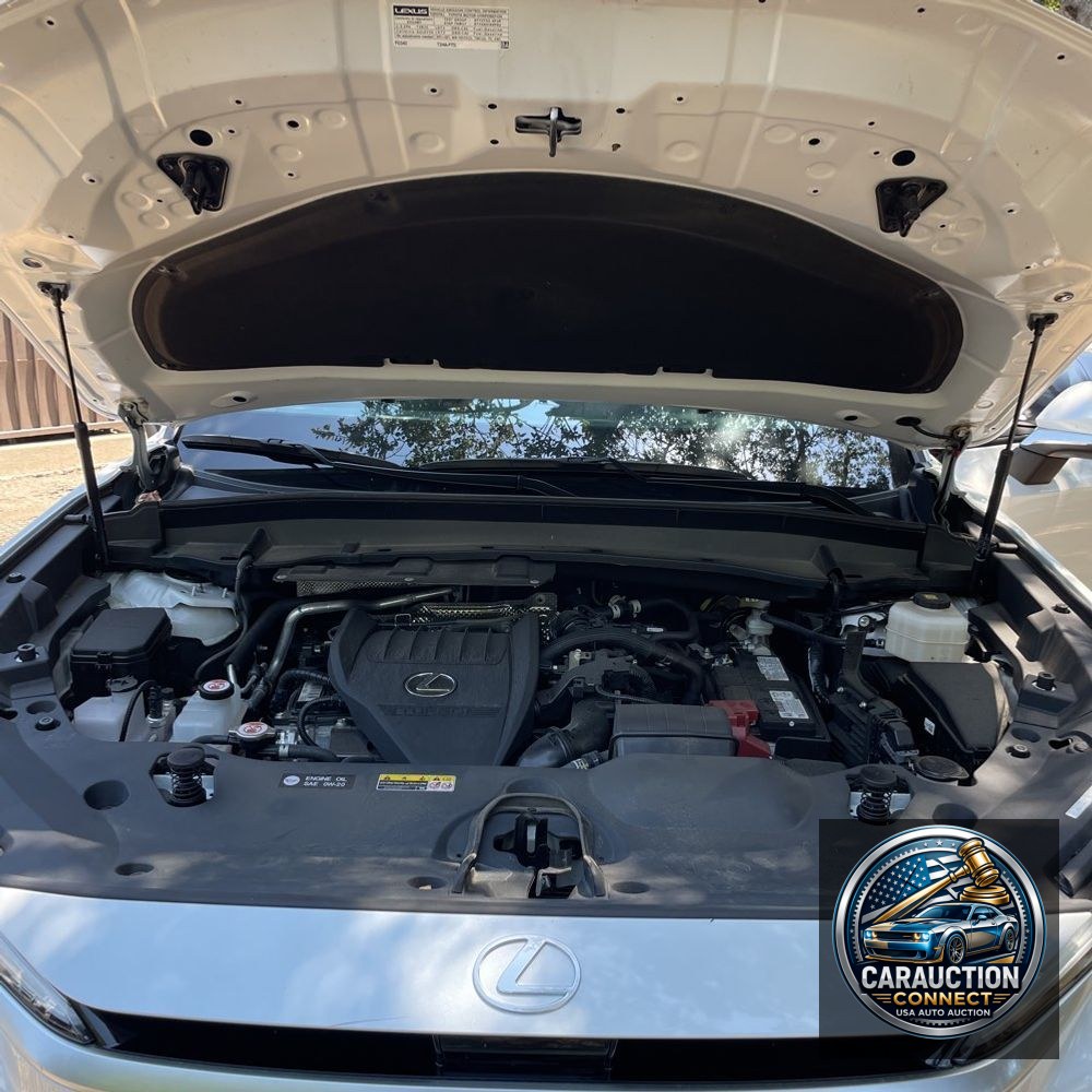 2024 Lexus TX 350 Premium