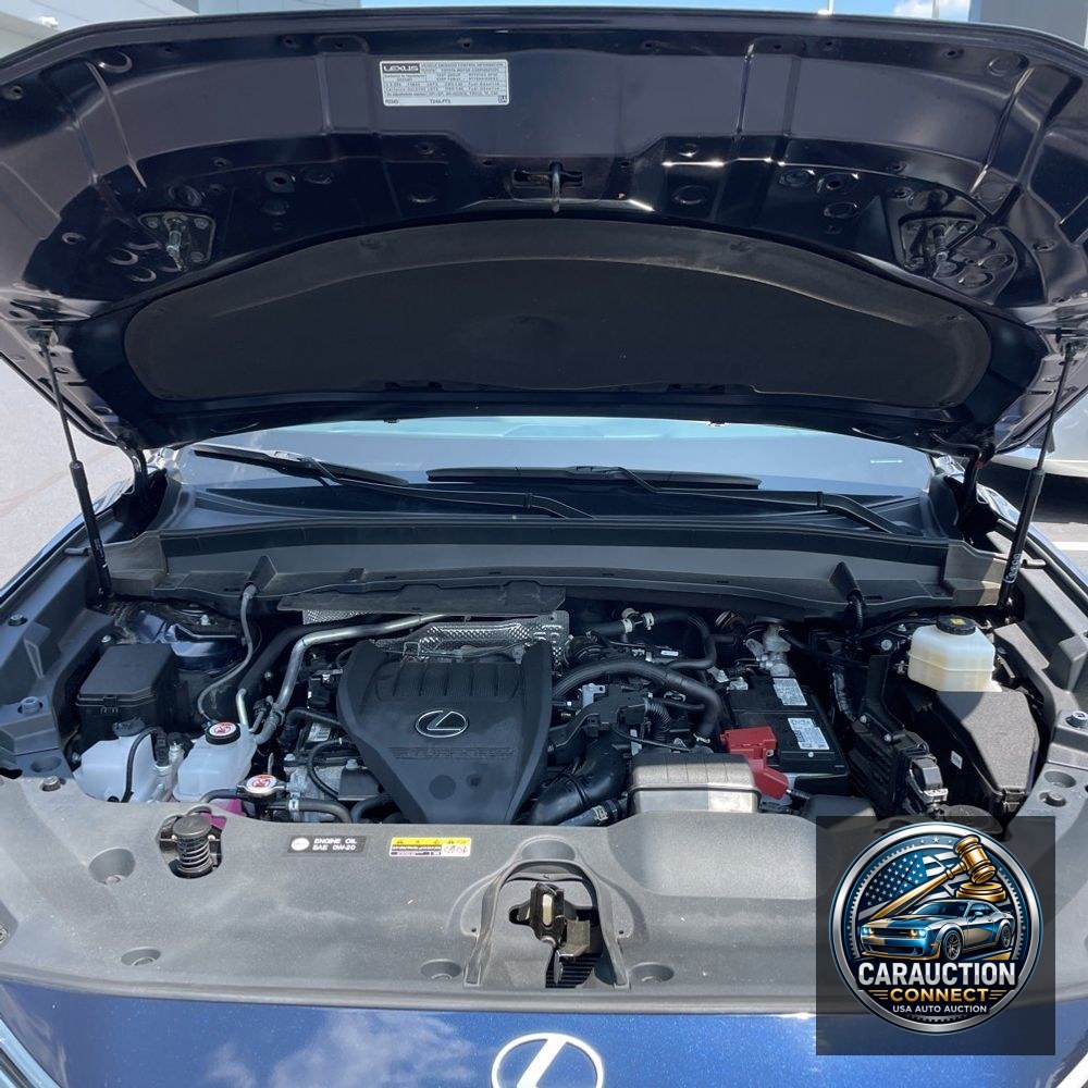 2024 Lexus TX 350 Base
