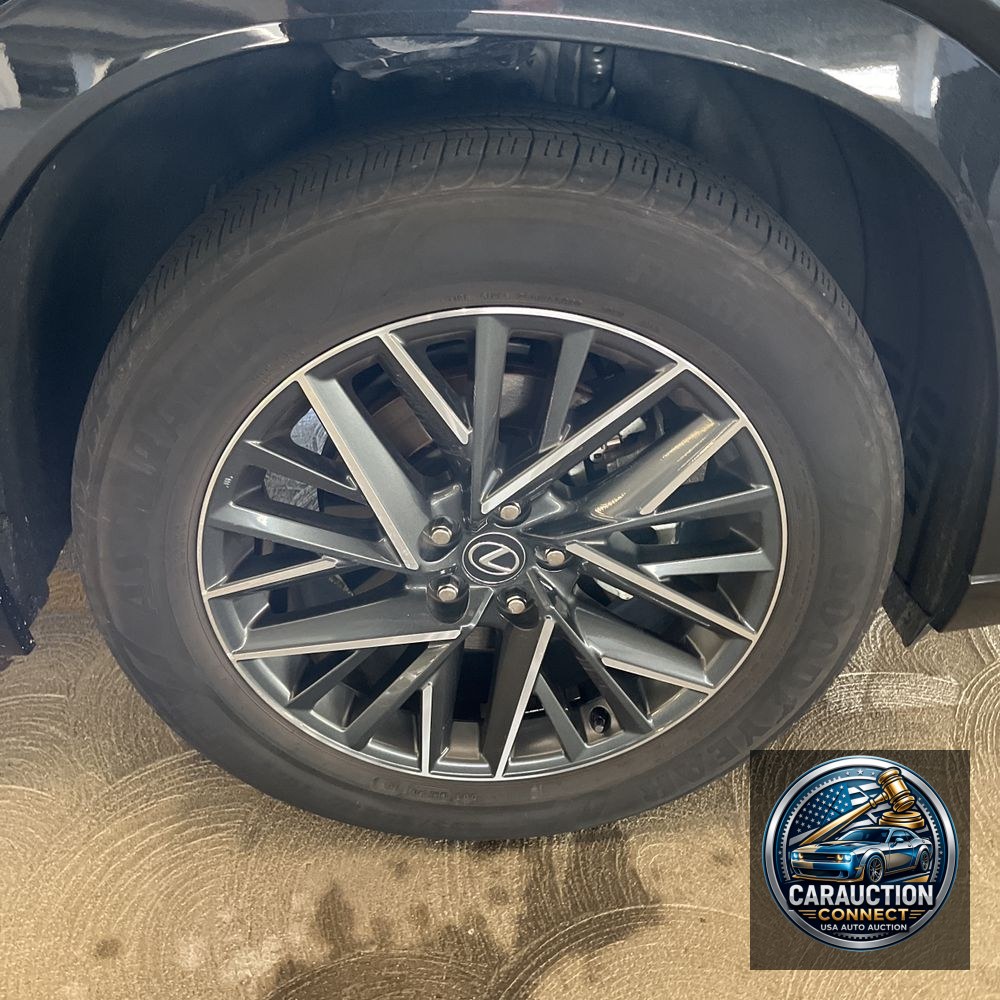 2024 Lexus TX 350 Premium