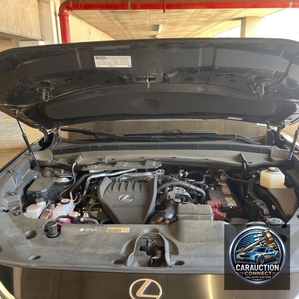 2024 Lexus TX 350 Premium