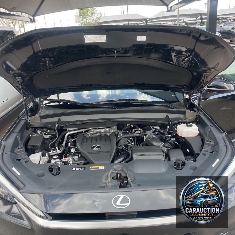 2024 Lexus TX 500h F SPORT Performance Premium