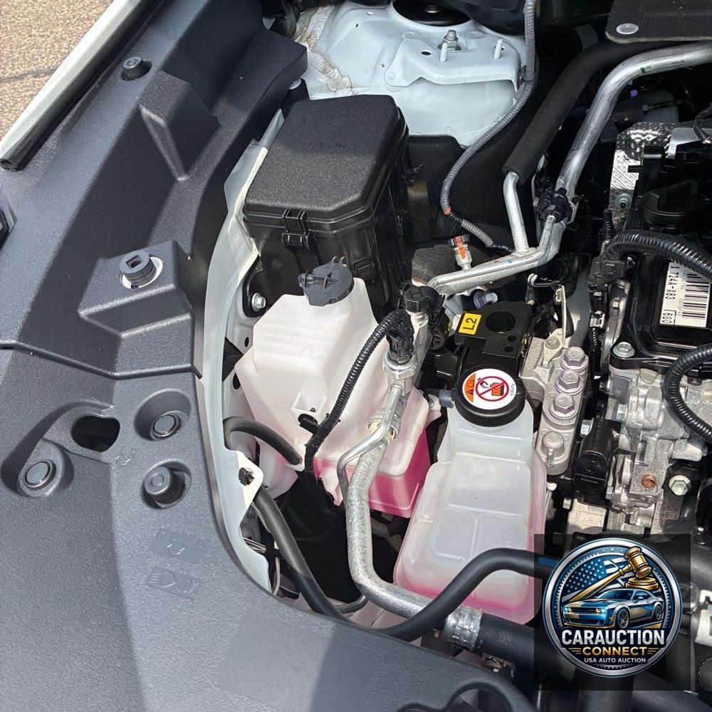 2024 Lexus TX 500h F SPORT Performance Premium