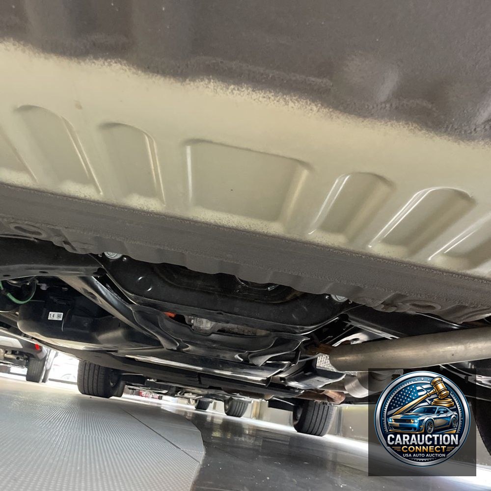 2024 Toyota Sienna Woodland Edition