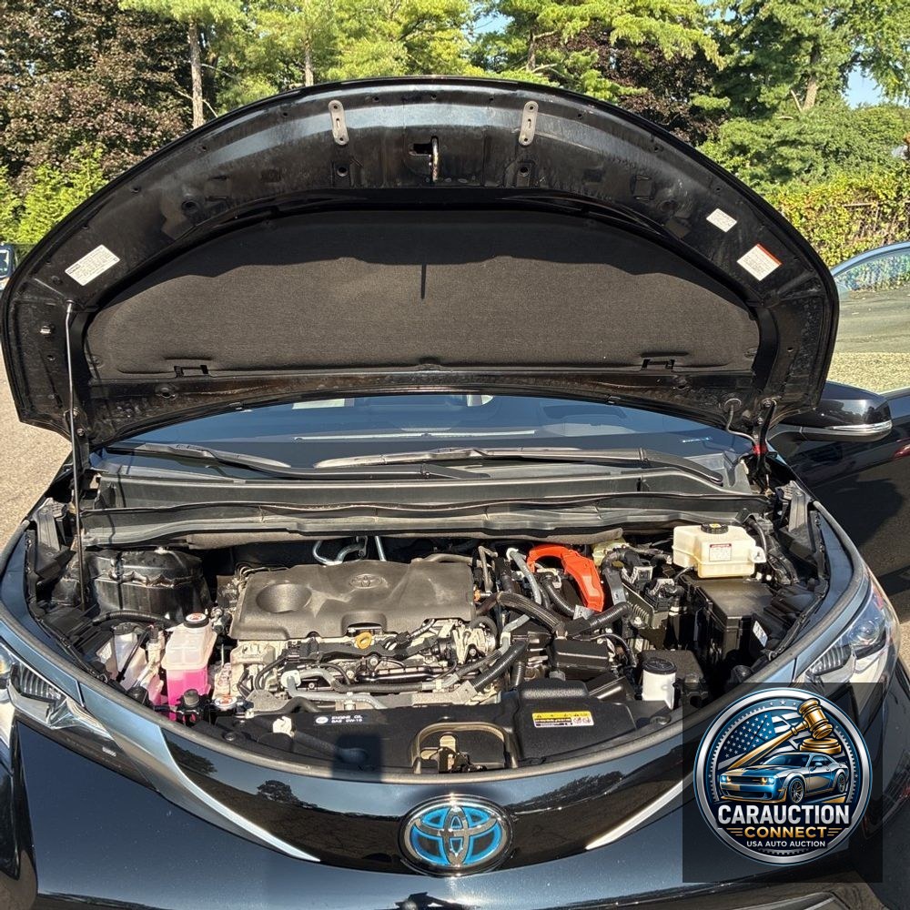 2022 Toyota Sienna Platinum 7-Passenger