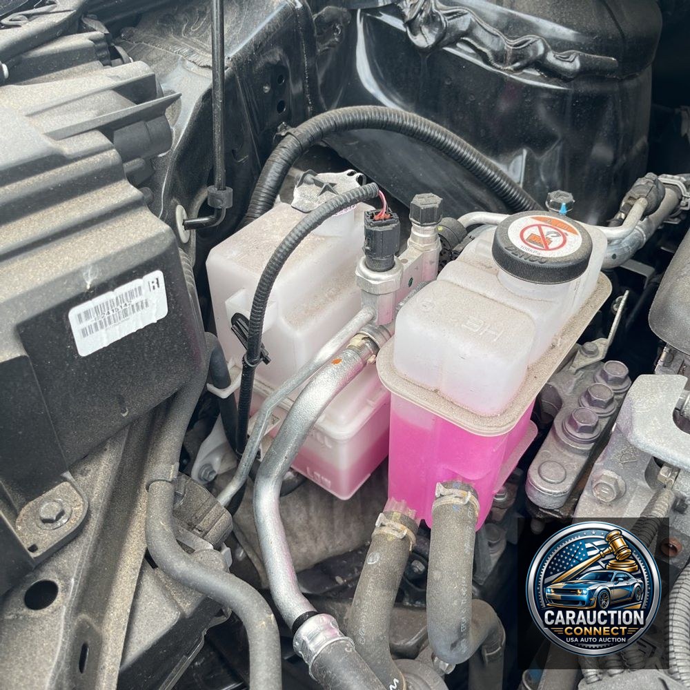 2024 Toyota Sienna Platinum 7-Passenger