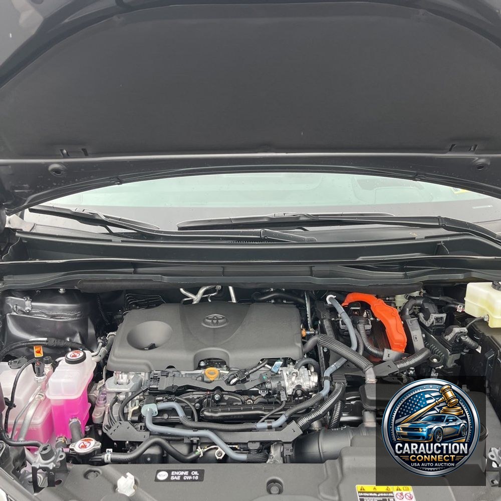 2025 Toyota Sienna Platinum 7-Passenger