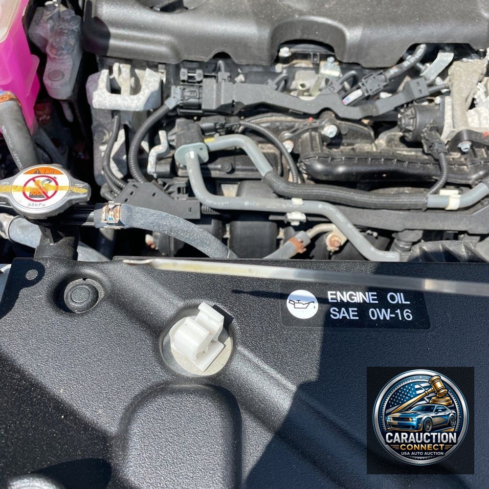 2021 Toyota Sienna XLE 7-Passenger
