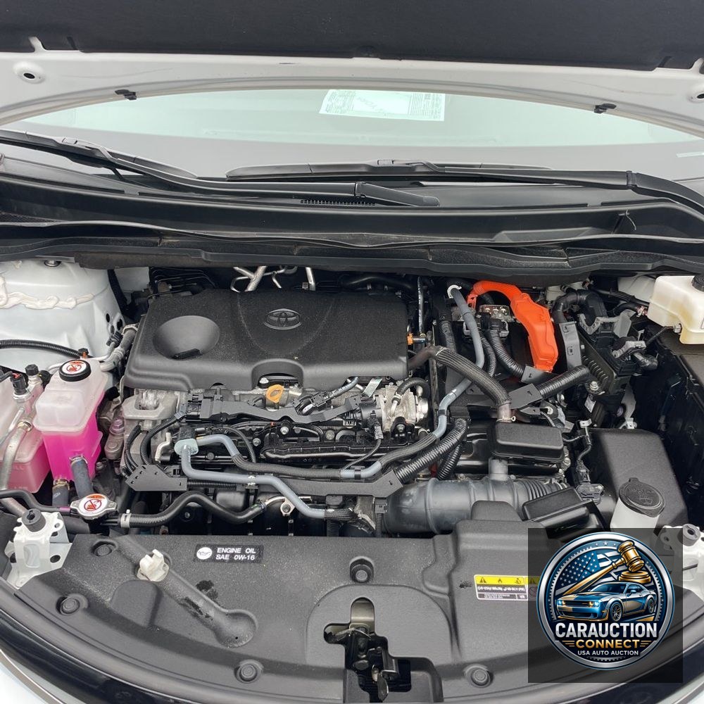 2023 Toyota Sienna Limited 7-Passenger