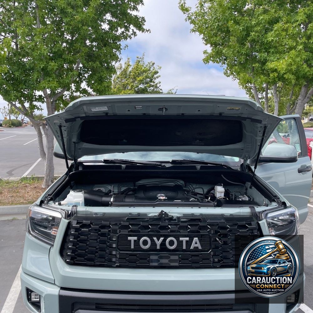 2021 Toyota Tundra TRD Pro