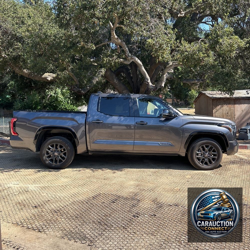 2025 Toyota Tundra Platinum