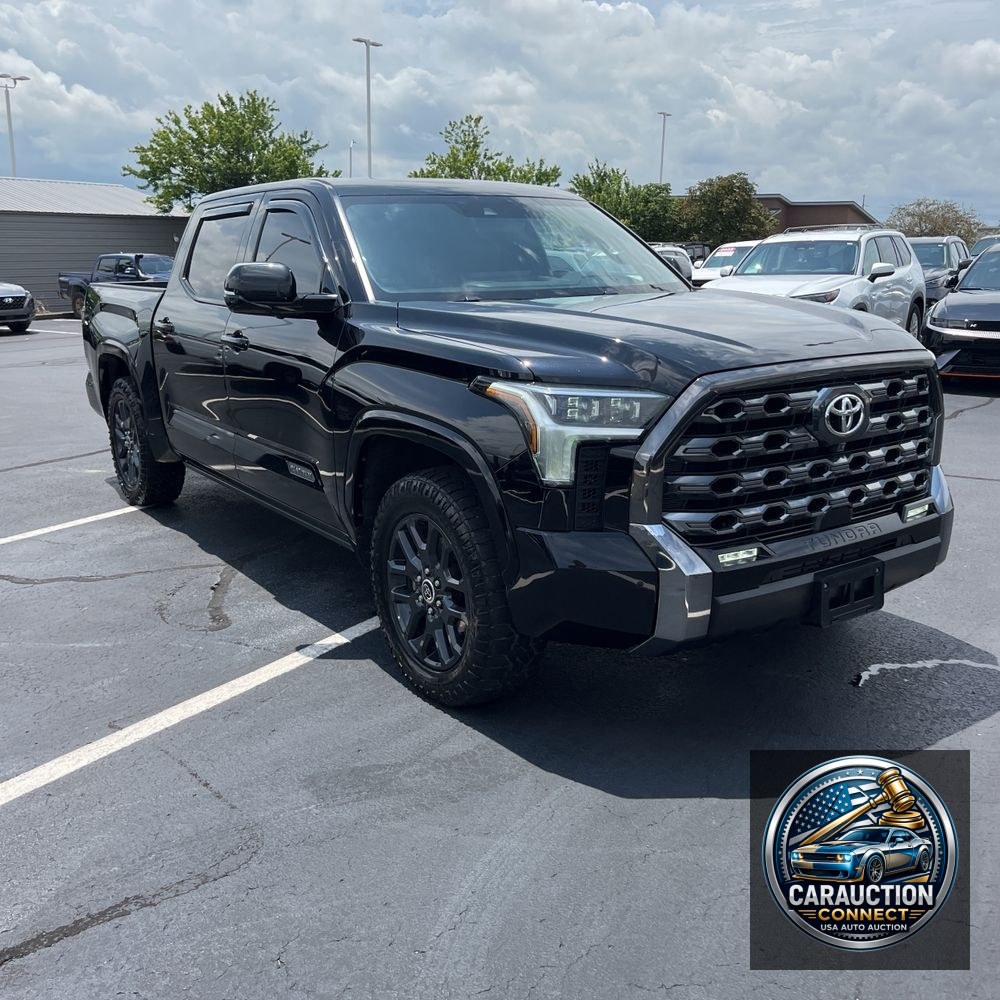 2022 Toyota Tundra Platinum