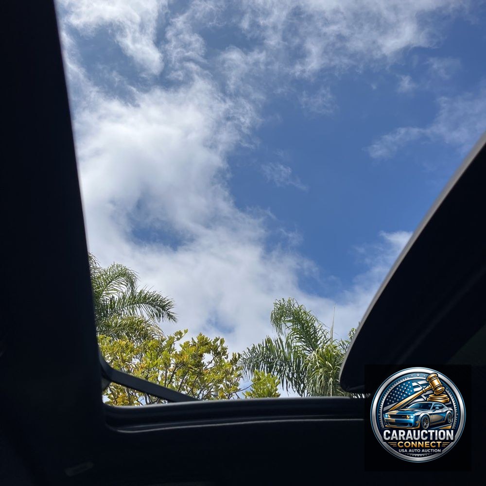 2024 BMW X5 xDrive50e