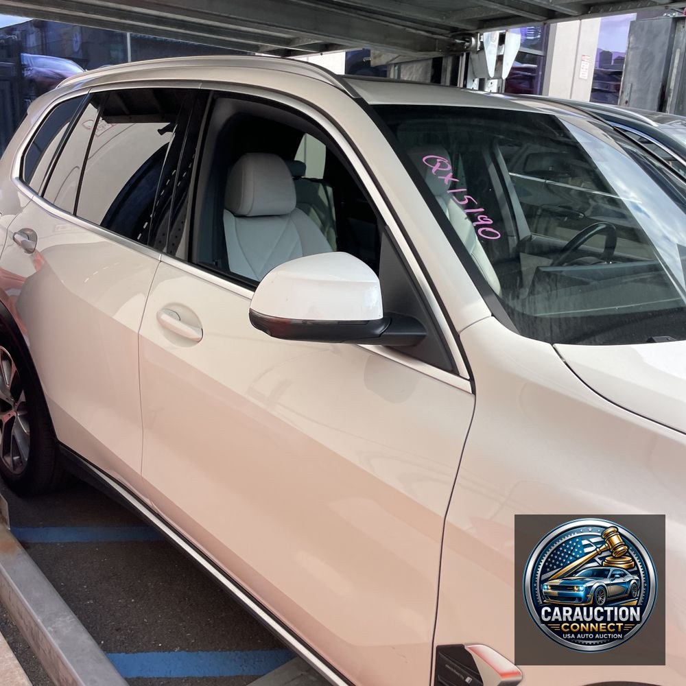 2024 BMW X5 xDrive50e