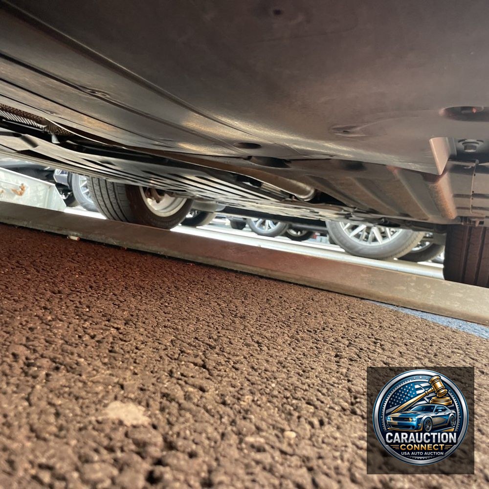 2024 BMW X5 xDrive50e