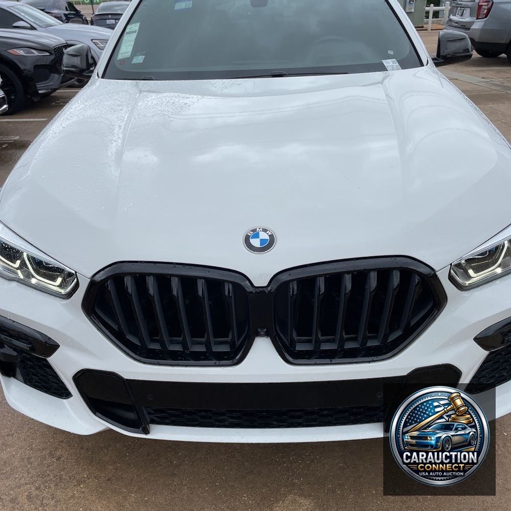 2022 BMW X6 M50i