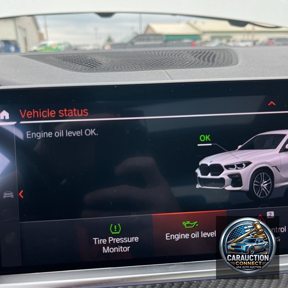 2020 BMW X6 M50i