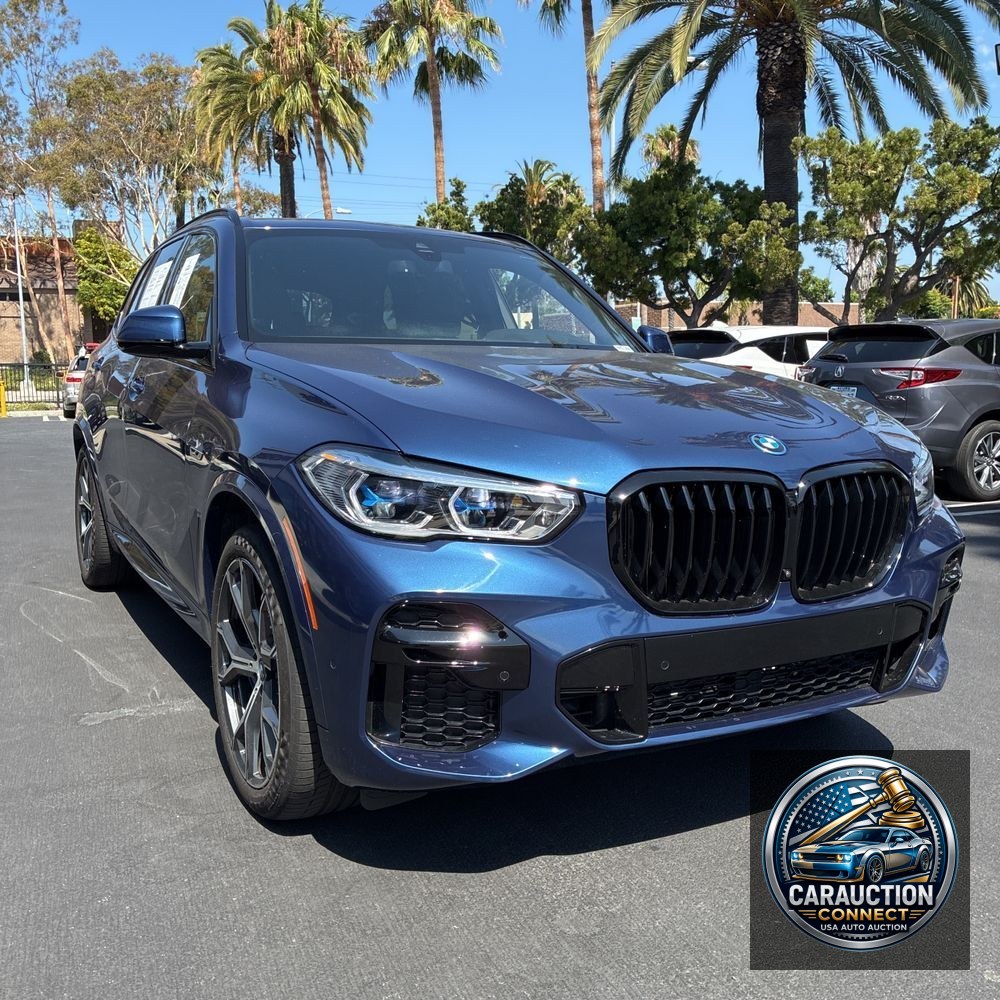 2023 BMW X5 xDrive45e