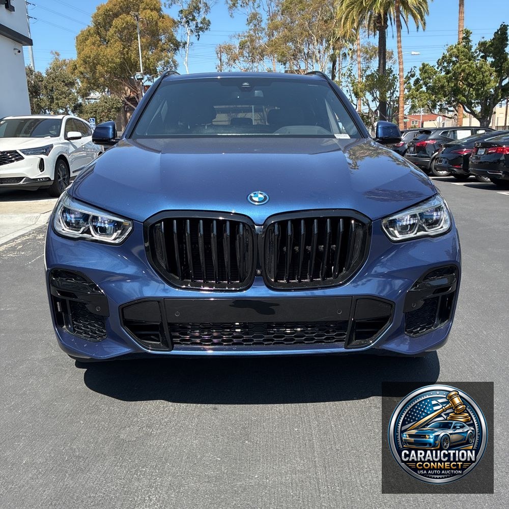 2023 BMW X5 xDrive45e