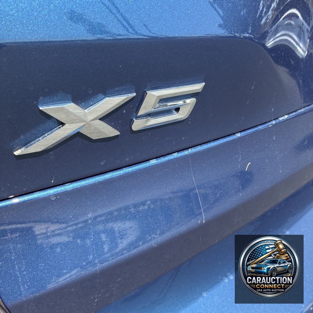 2023 BMW X5 xDrive45e