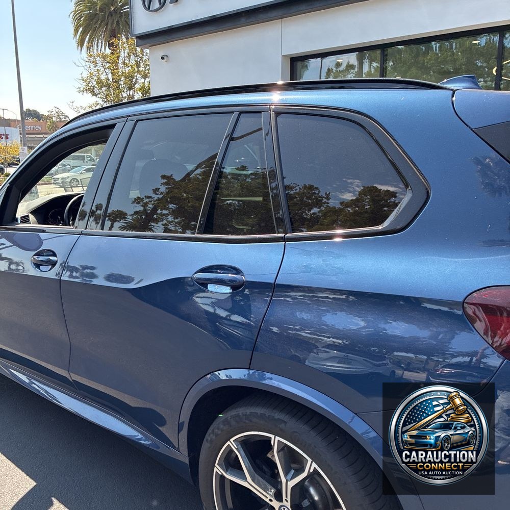 2023 BMW X5 xDrive45e