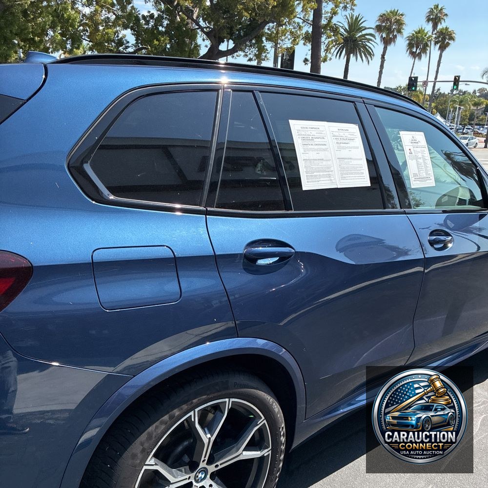 2023 BMW X5 xDrive45e