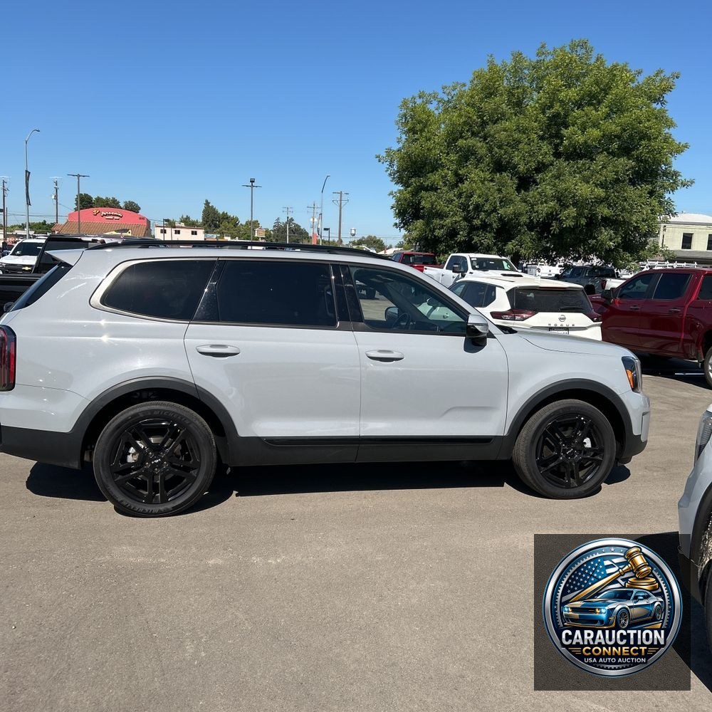 2024 Kia Telluride SX-Prestige X-Line