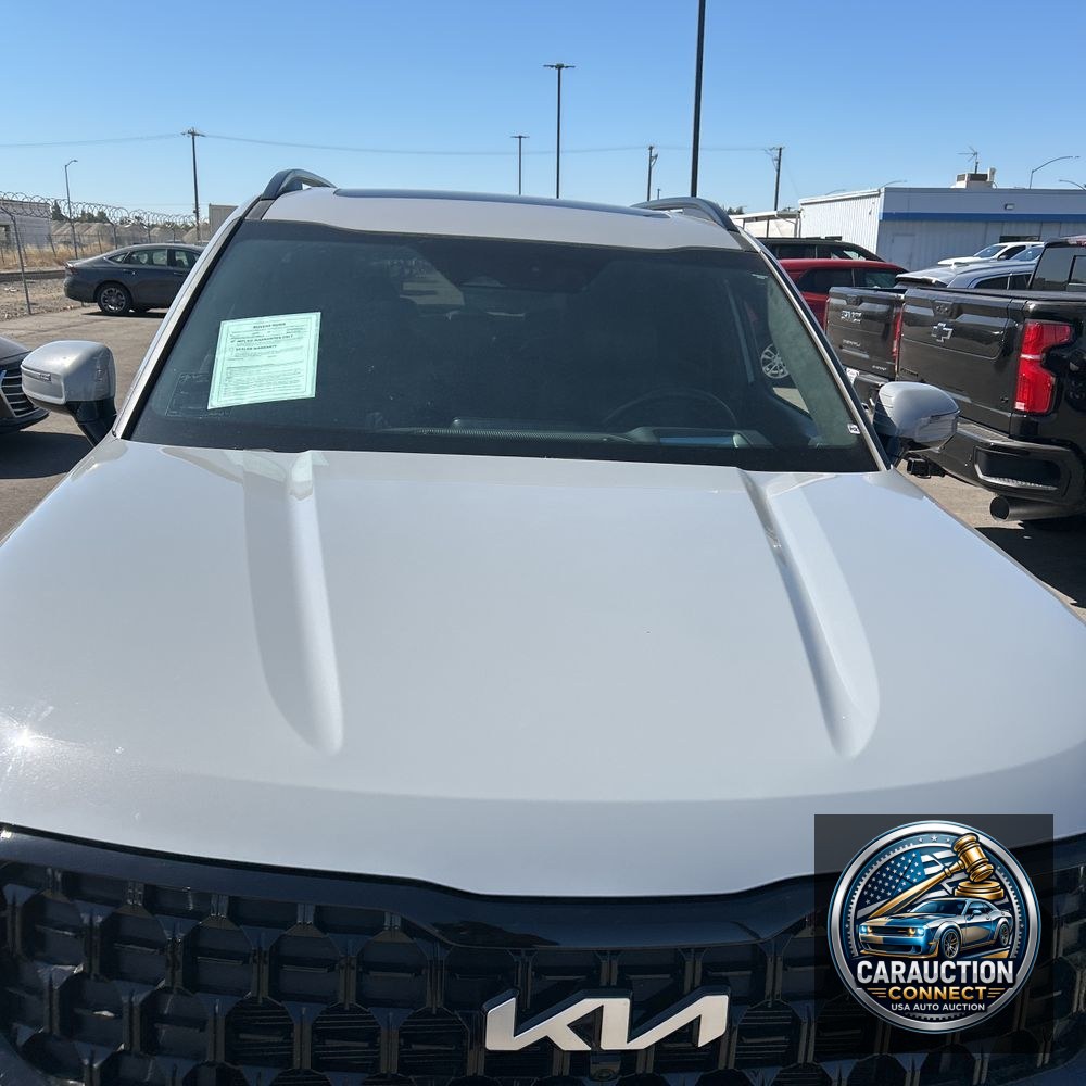 2024 Kia Telluride SX-Prestige X-Line