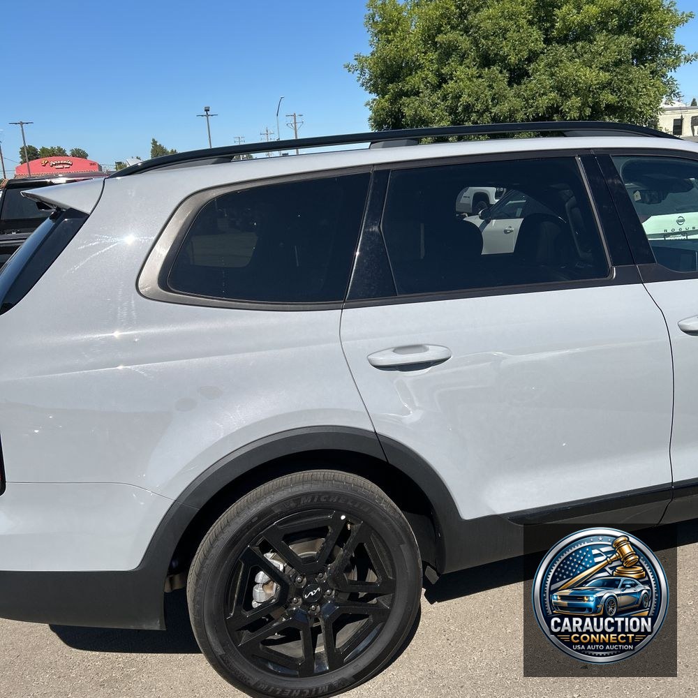 2024 Kia Telluride SX-Prestige X-Line