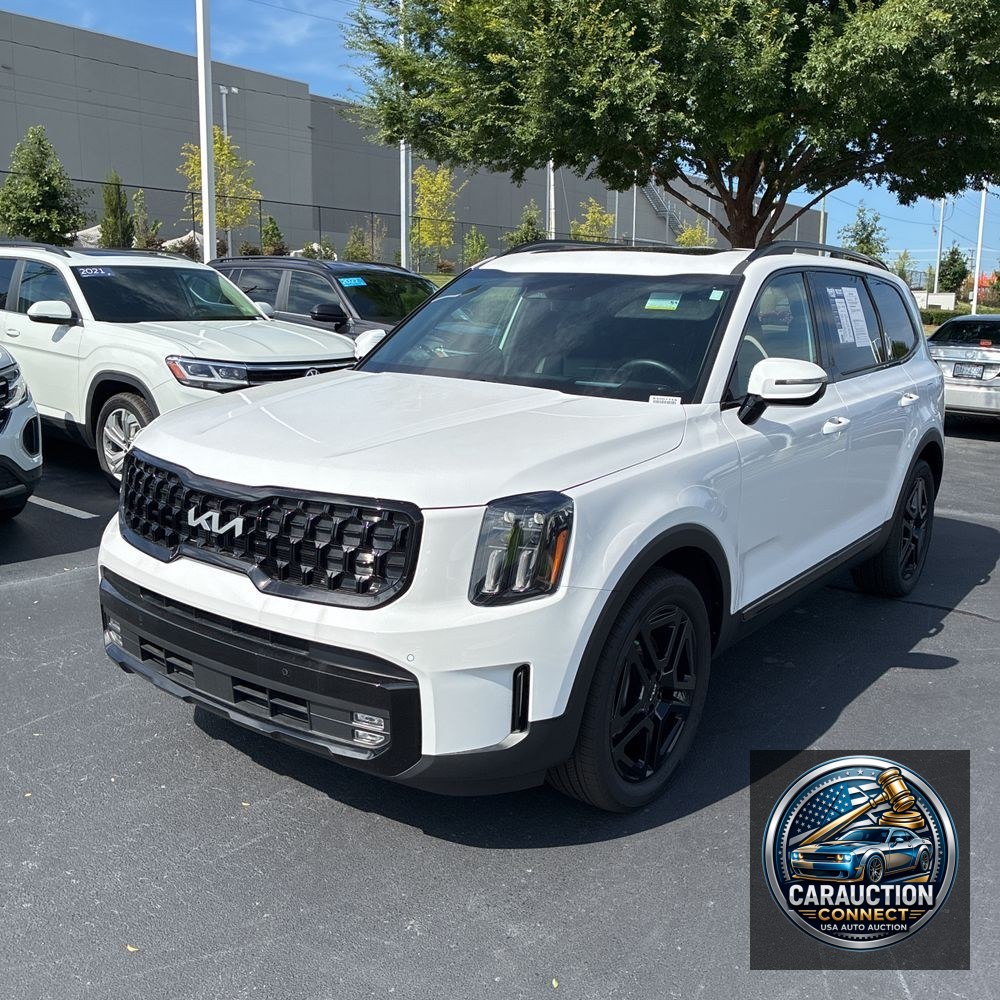 2024 Kia Telluride SX-Prestige X-Line