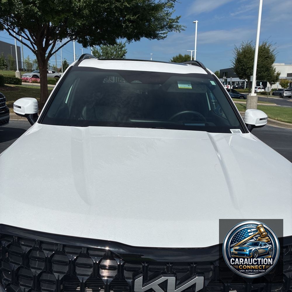 2024 Kia Telluride SX-Prestige X-Line