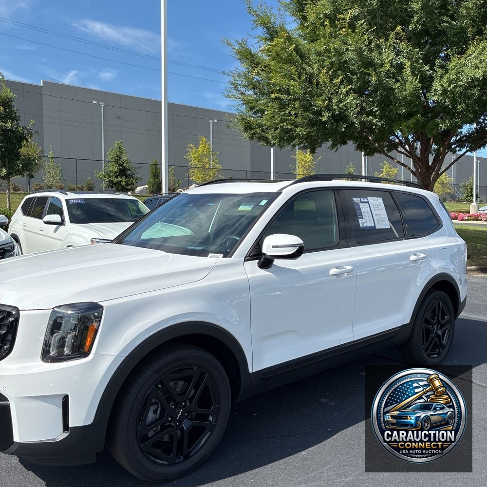 2024 Kia Telluride SX-Prestige X-Line